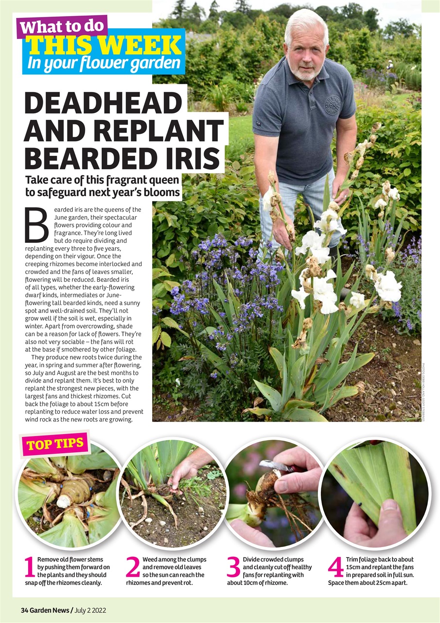 Garden News Preview Pages