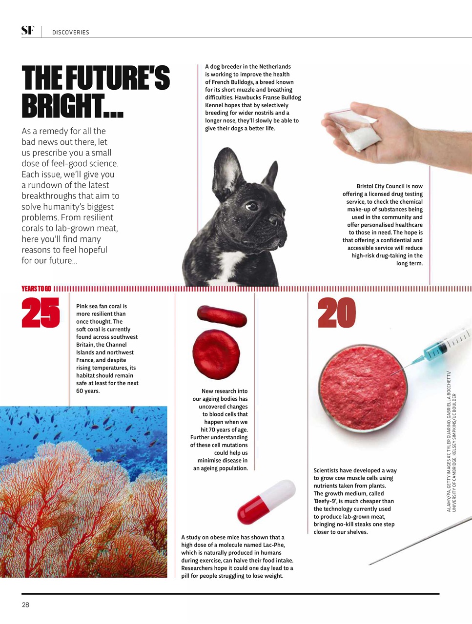 BBC Science Focus Magazine Preview Pages