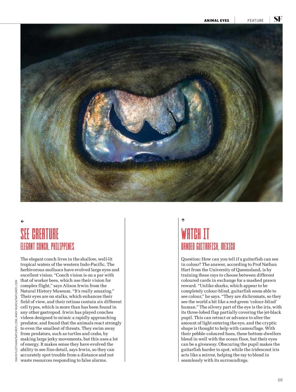 BBC Science Focus Magazine Preview Pages