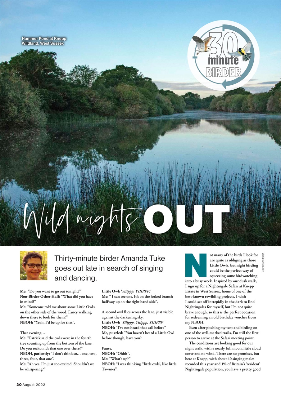 Bird Watching Preview Pages