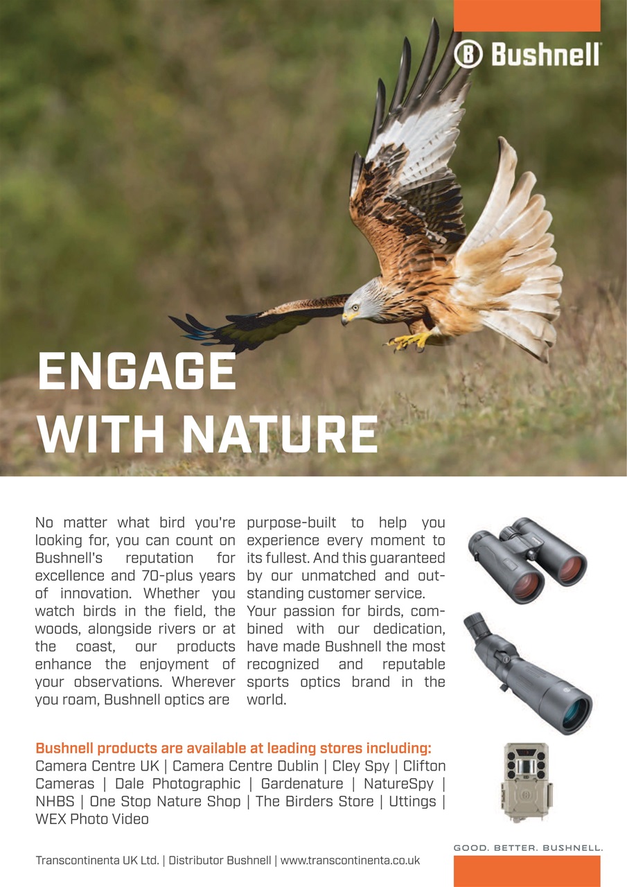 Bird Watching Preview Pages