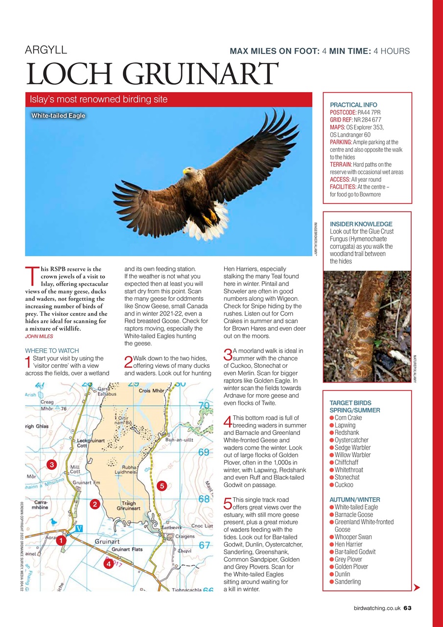 Bird Watching Preview Pages