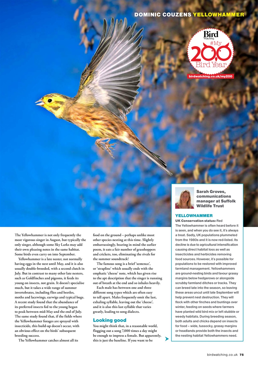 Bird Watching Preview Pages