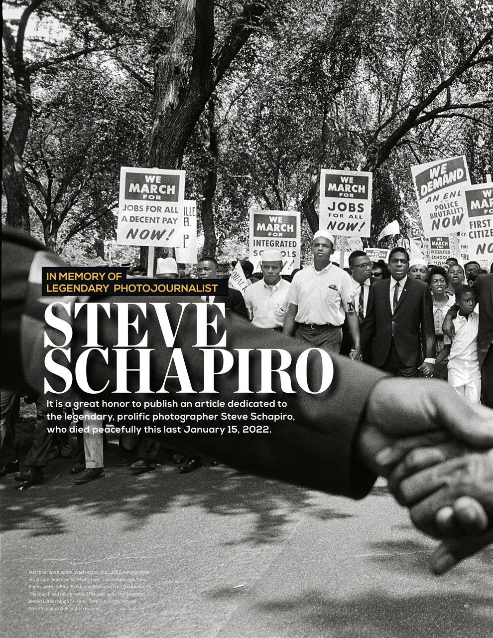 Lens Magazine Preview Pages