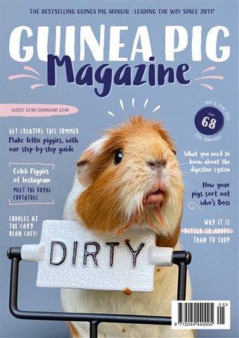Guinea Pig Magazine issue Issue 68