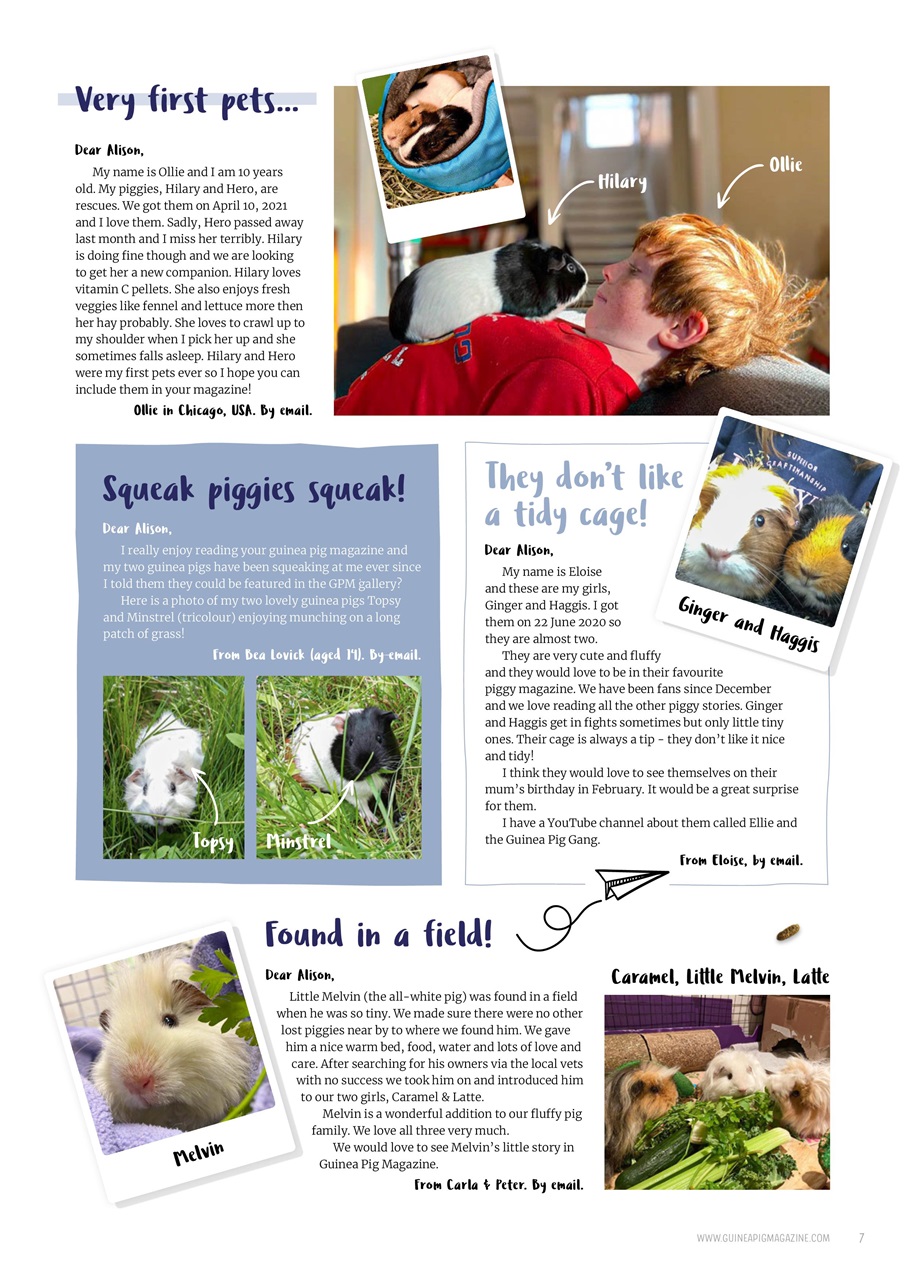 Guinea Pig Magazine Preview Pages