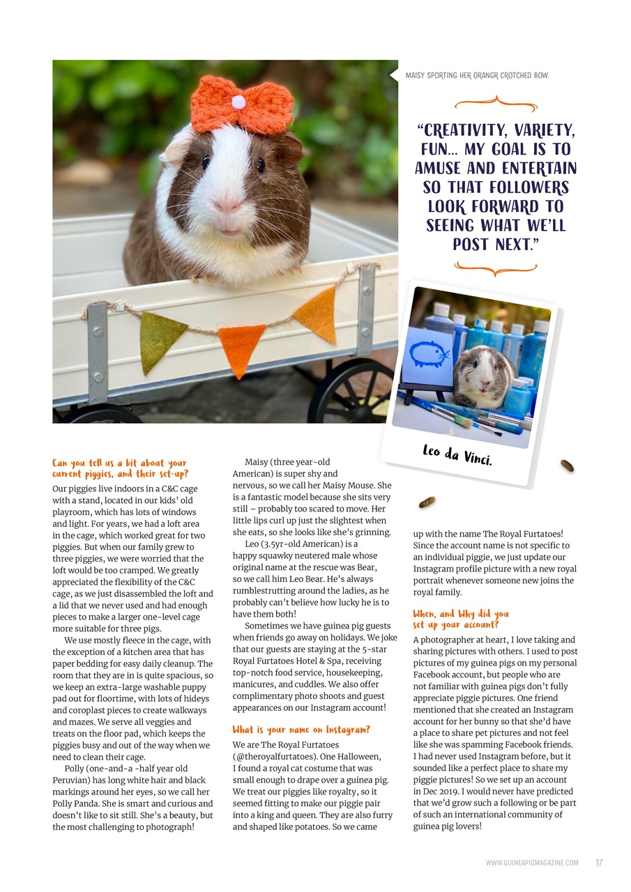 Guinea Pig Magazine Preview Pages