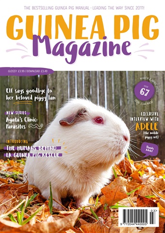 Guinea Pig Magazine issue Issue 67