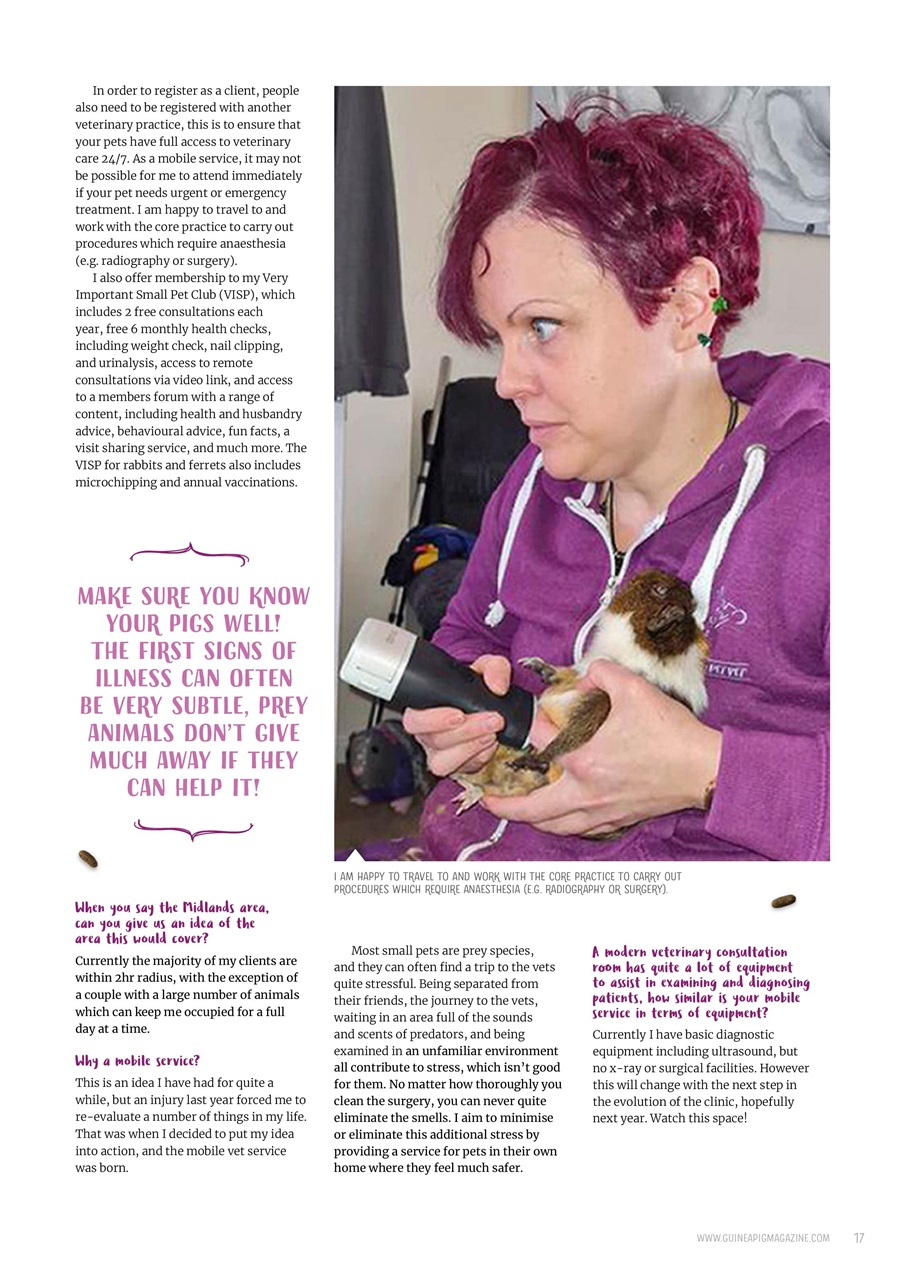 Guinea Pig Magazine Preview Pages