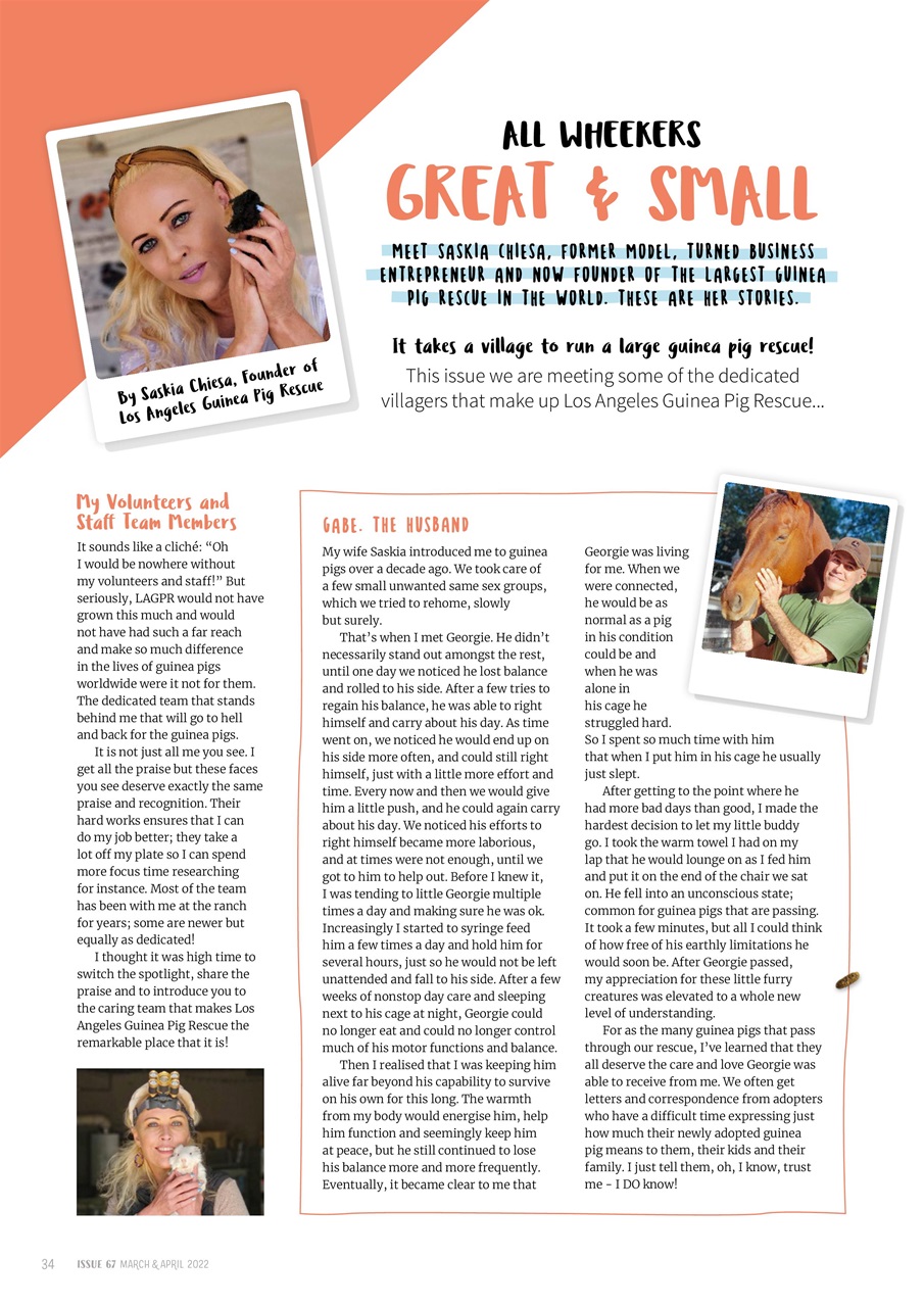 Guinea Pig Magazine Preview Pages