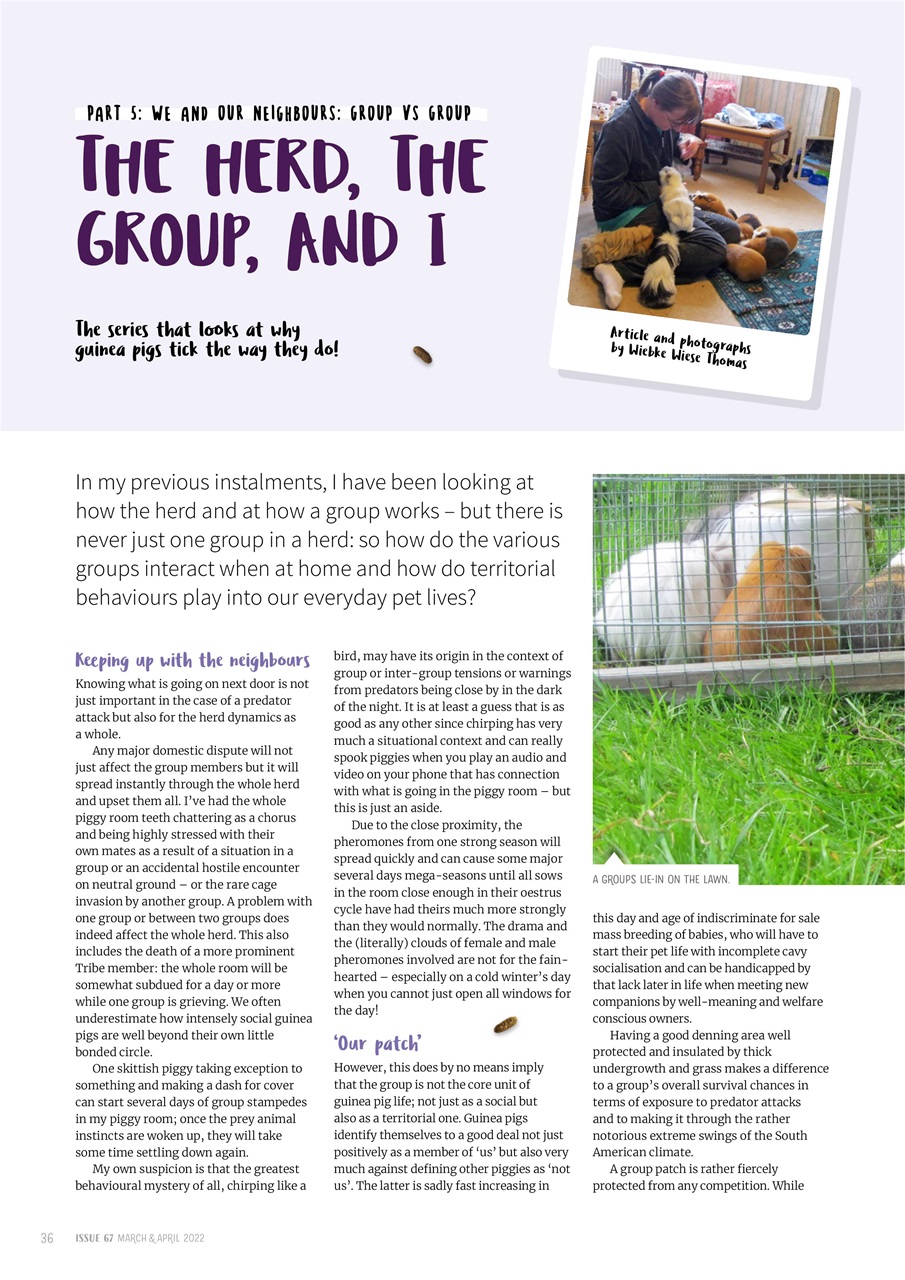 Guinea Pig Magazine Preview Pages
