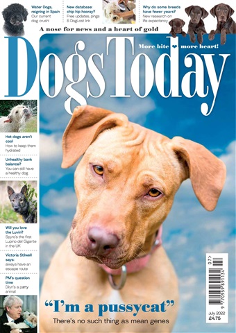 Dogs Today Magazine issue July 2022