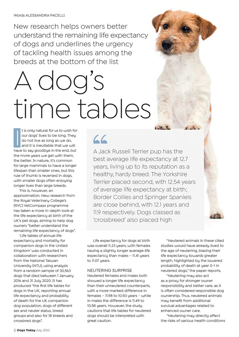 Dogs Today Magazine Preview Pages
