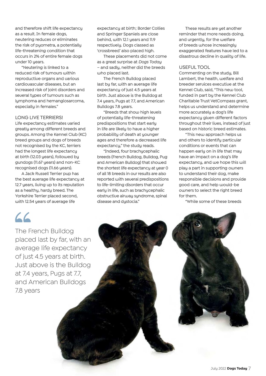 Dogs Today Magazine Preview Pages