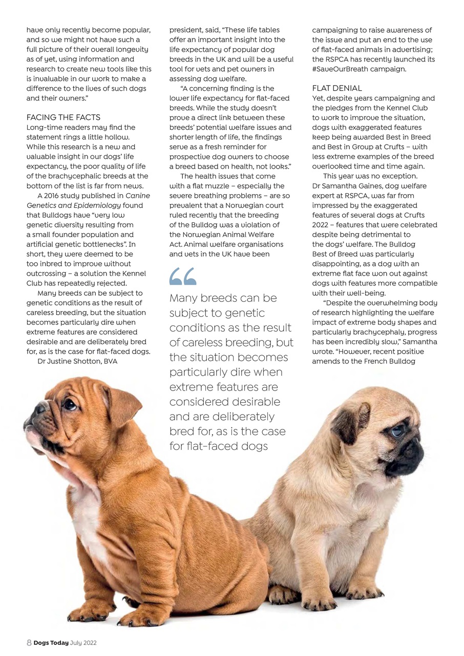 Dogs Today Magazine Preview Pages