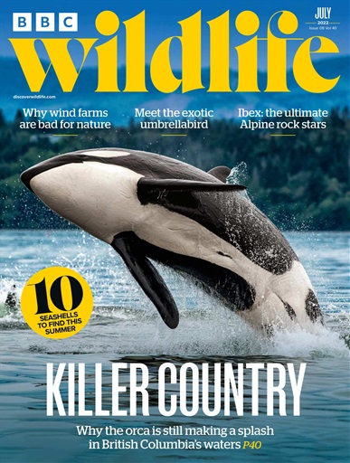 BBC Wildlife Magazine issue 