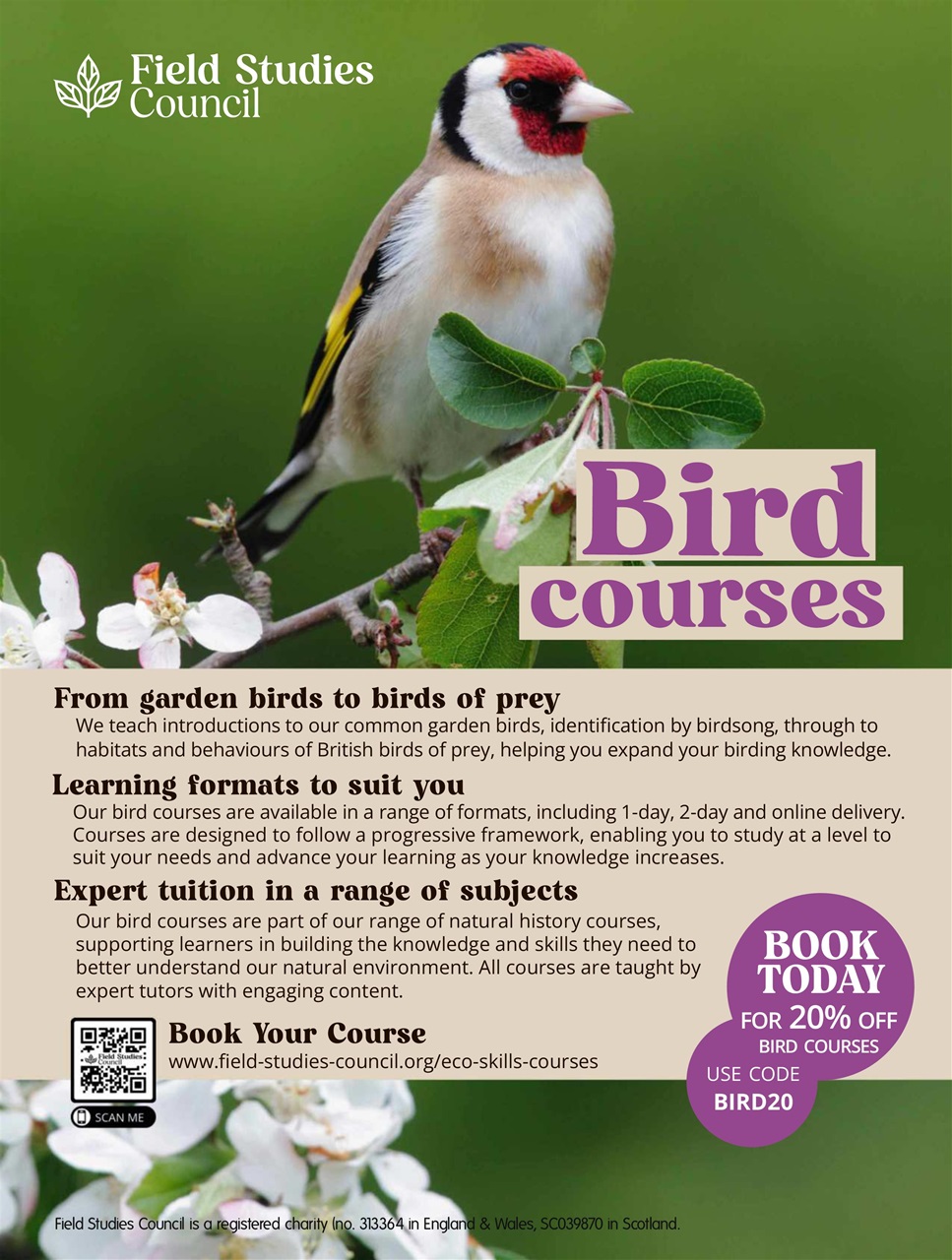 BBC Wildlife Magazine Preview Pages