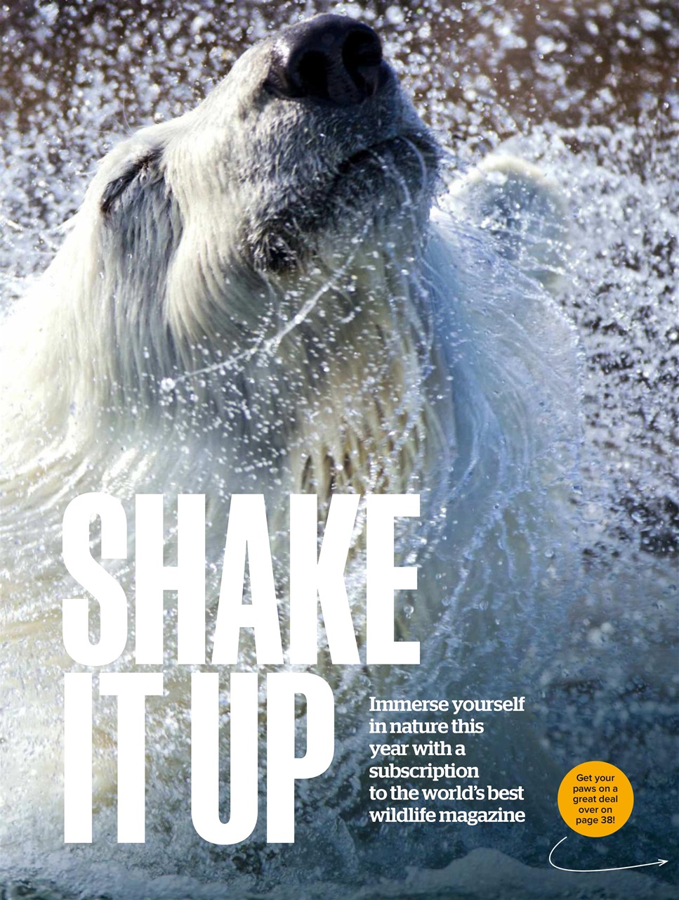 BBC Wildlife Magazine Preview Pages