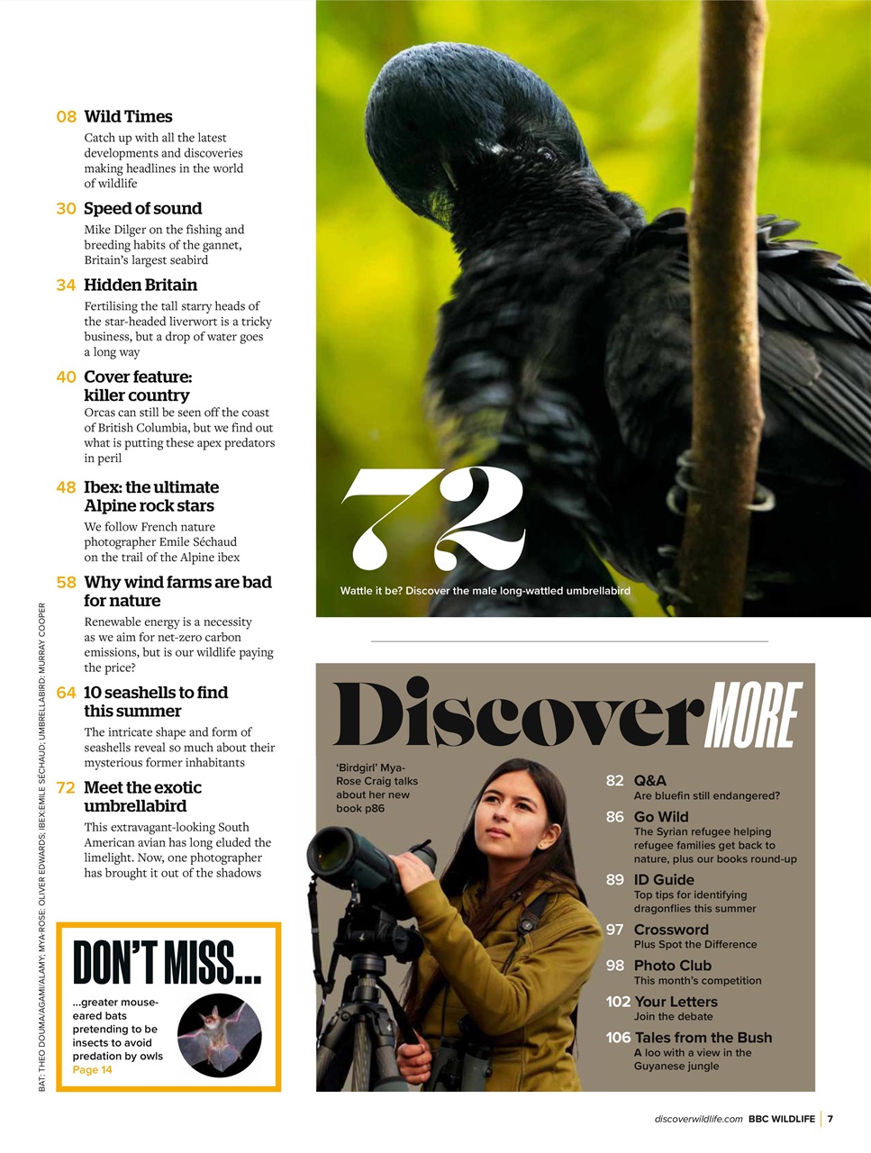 BBC Wildlife Magazine Preview Pages