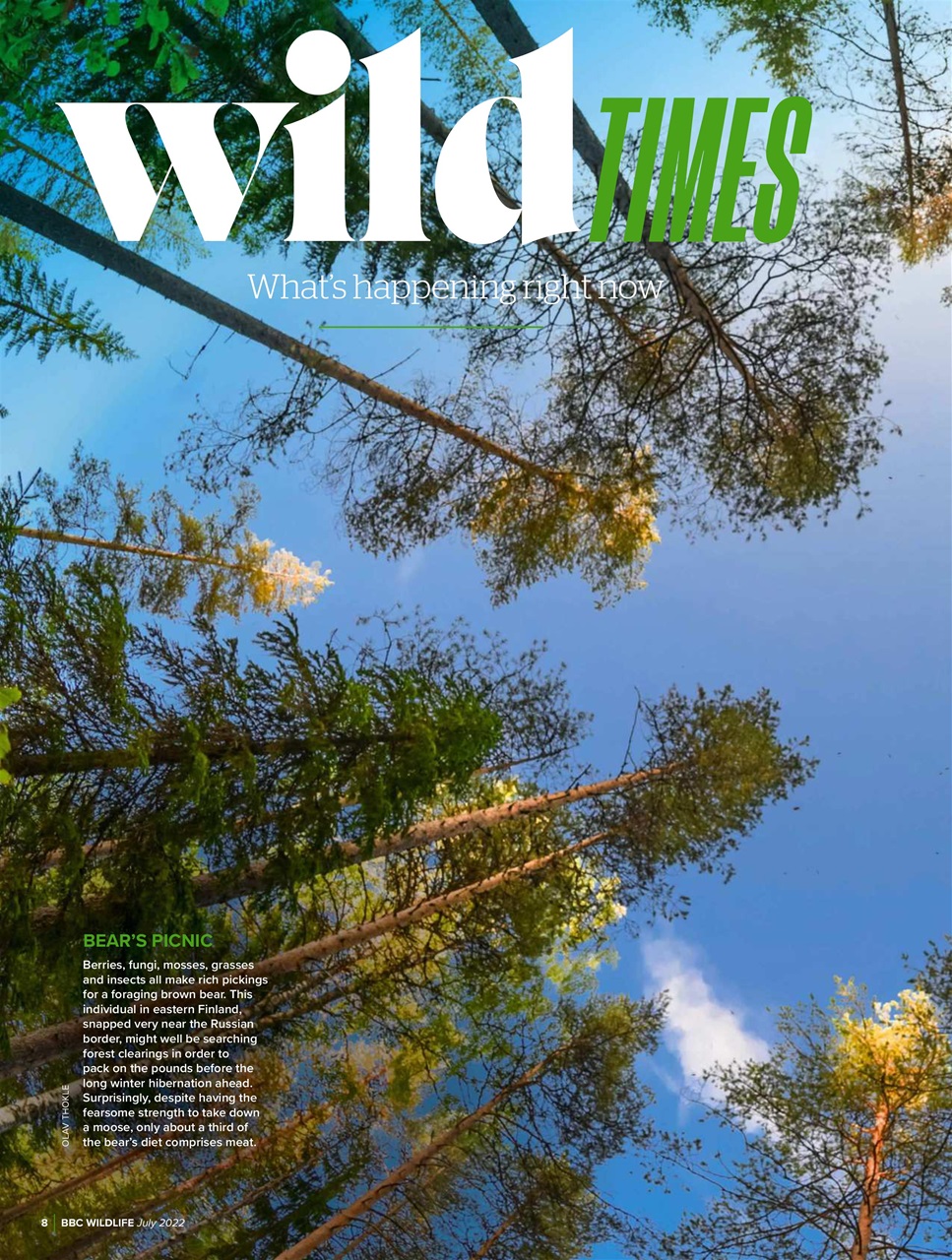 BBC Wildlife Magazine Preview Pages