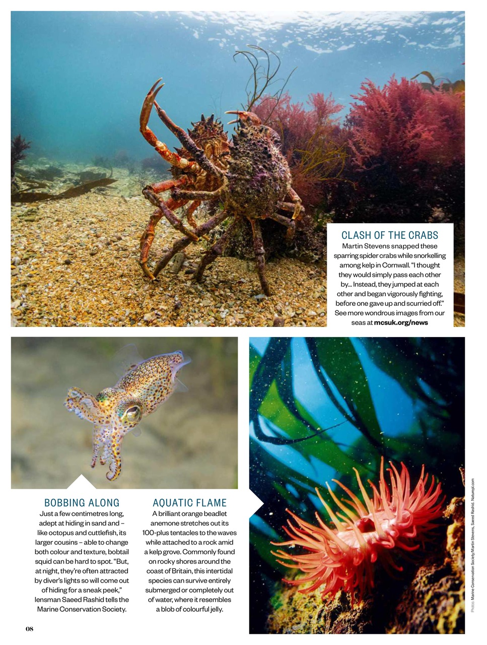 BBC Countryfile Magazine Preview Pages