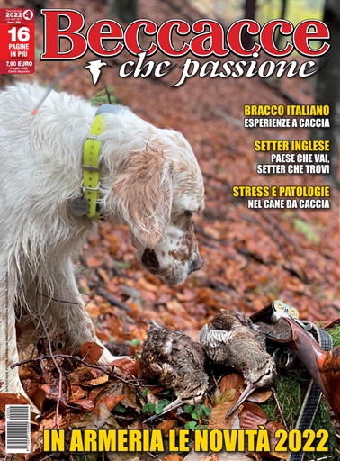 BECCACCE CHE PASSIONE issue 