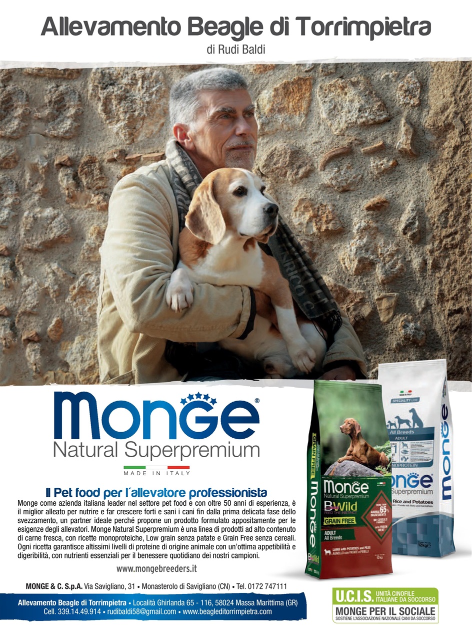 BECCACCE CHE PASSIONE Preview Pages