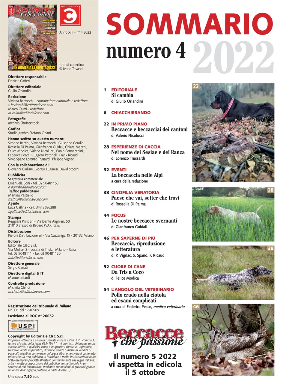 BECCACCE CHE PASSIONE Preview Pages