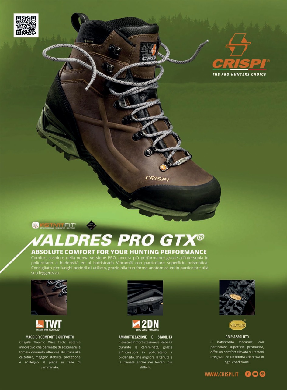 BECCACCE CHE PASSIONE Preview Pages