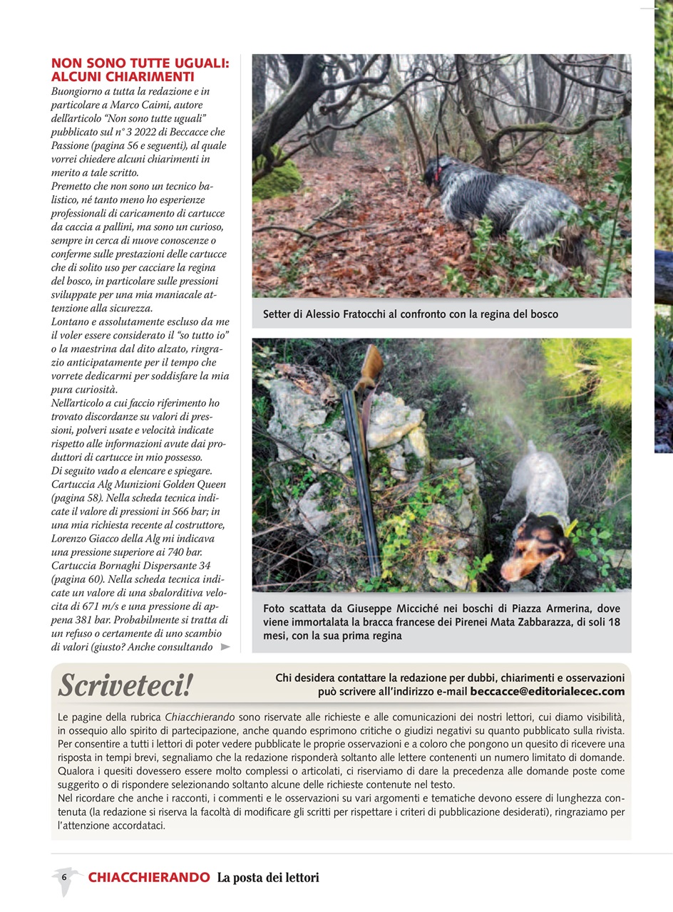 BECCACCE CHE PASSIONE Preview Pages