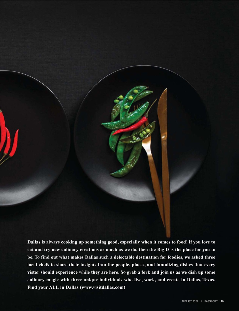 Passport Preview Pages