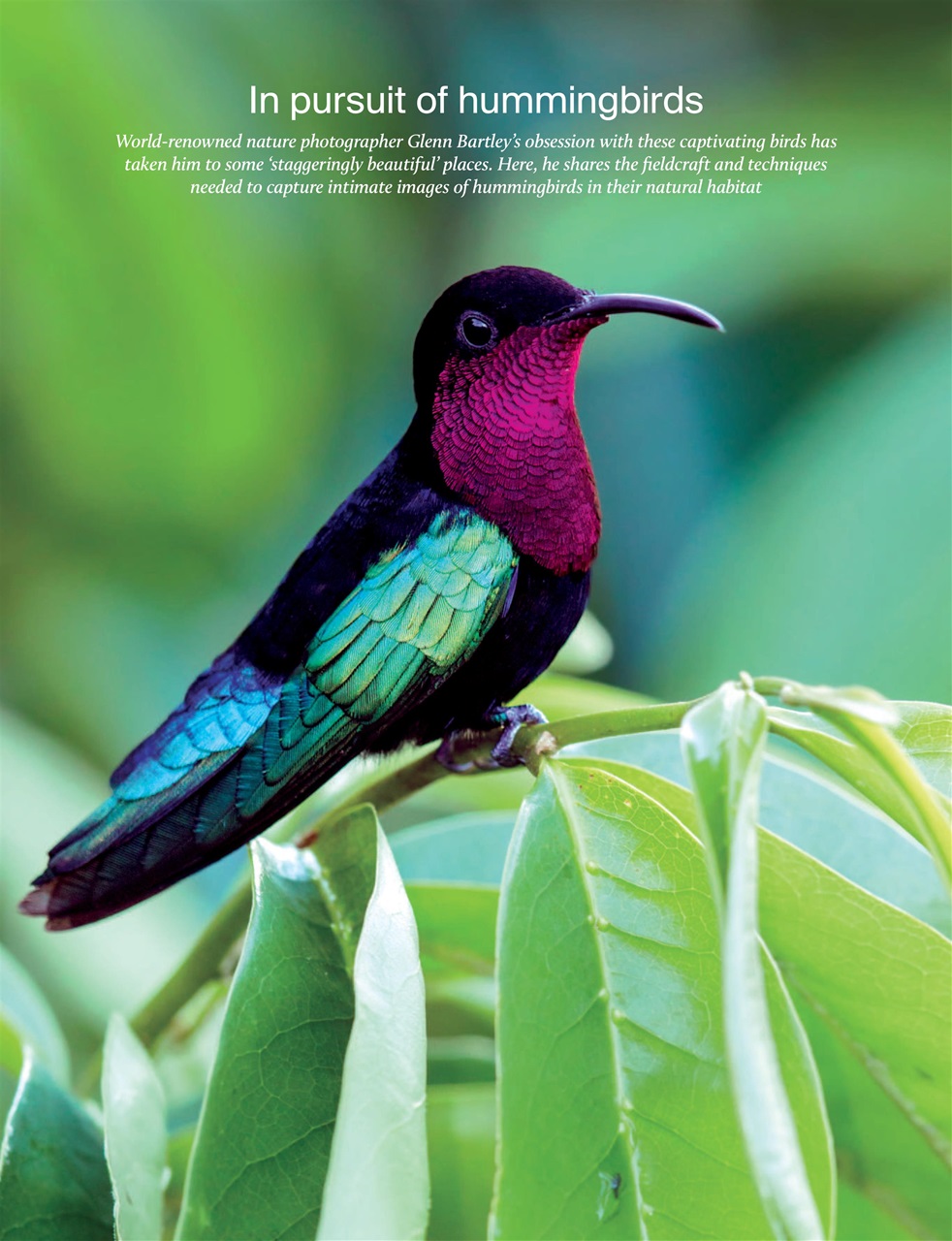 Outdoor Photography Preview Pages