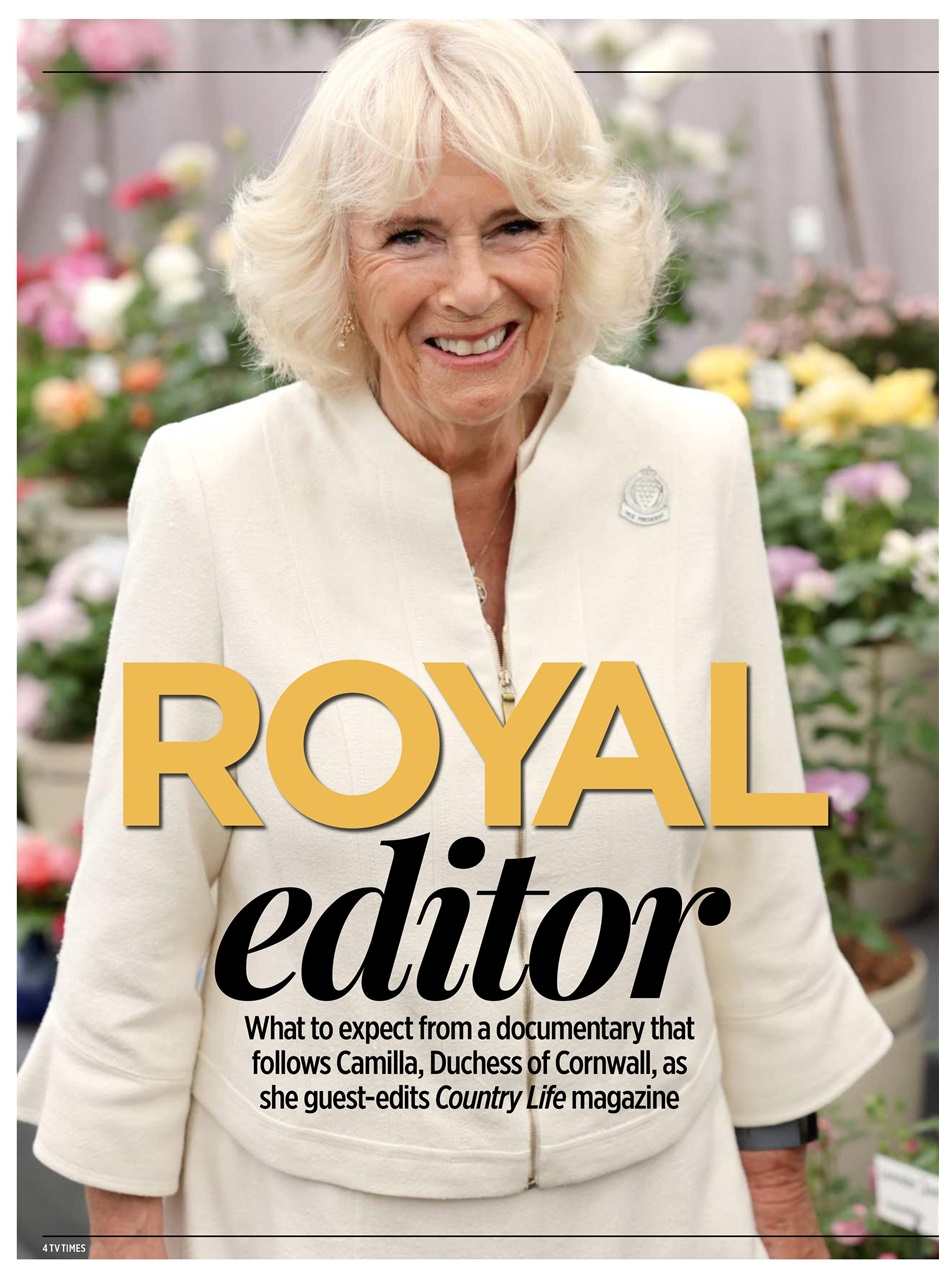 TV Times Preview Pages