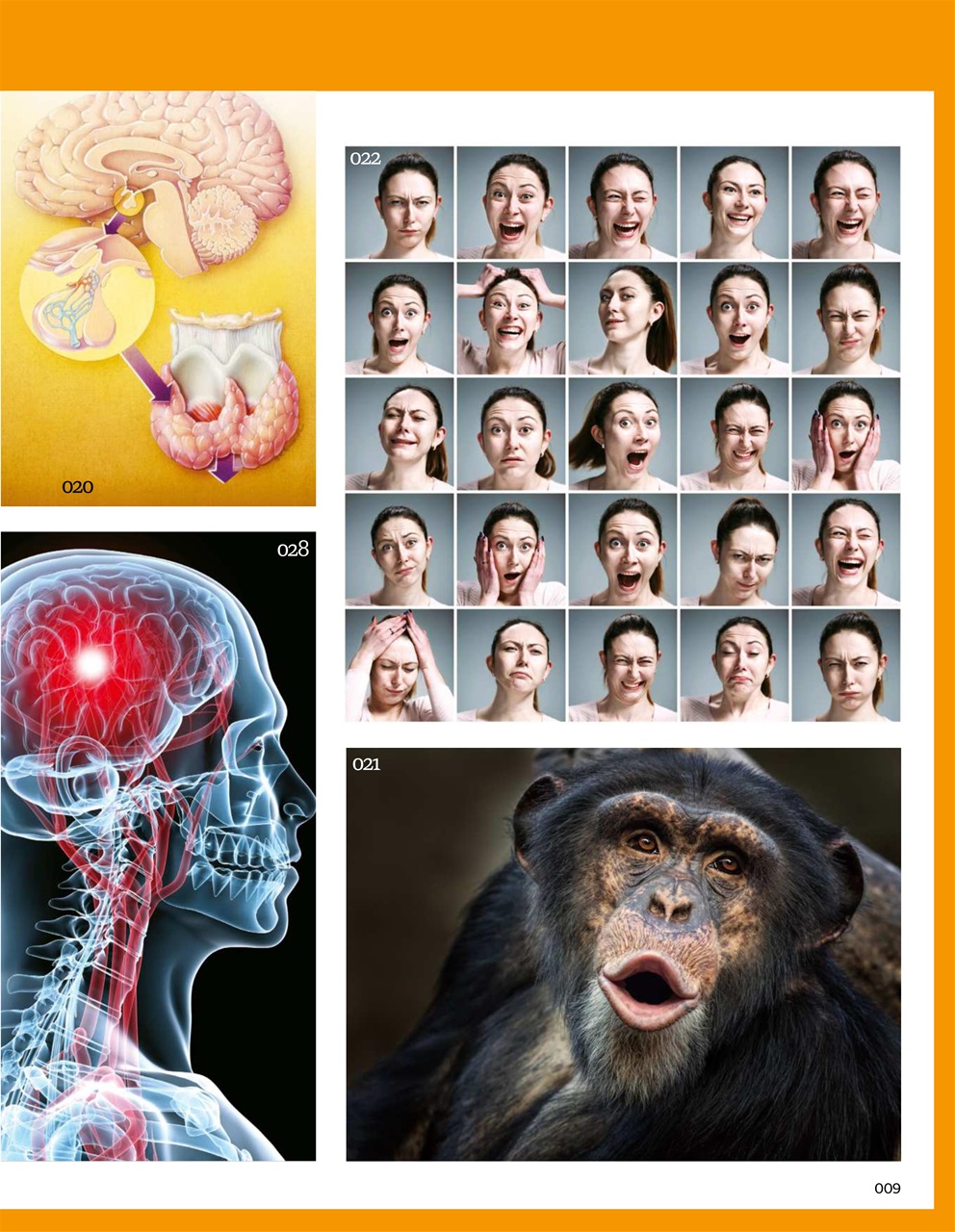 How It Works Bookazine Preview Pages