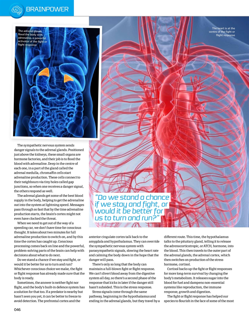 How It Works Bookazine Preview Pages