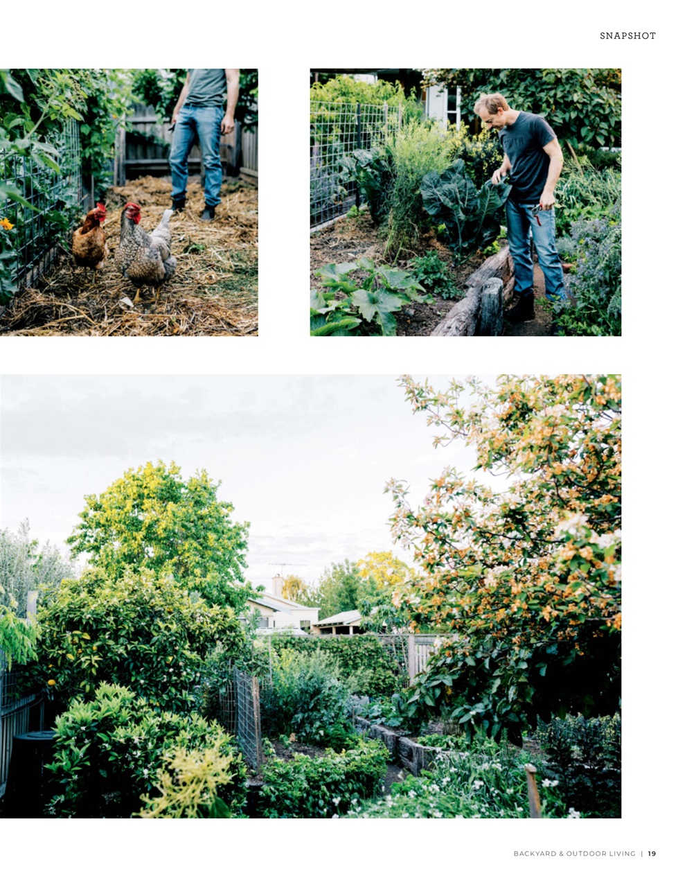 Backyard & Outdoor Living Preview Pages