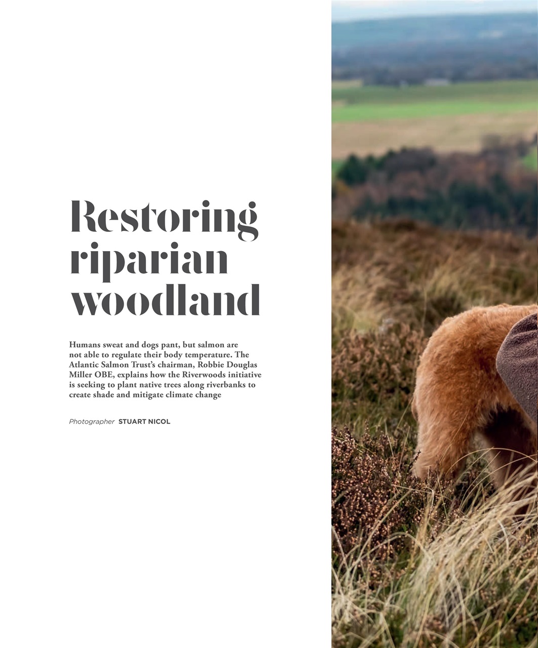 Fieldsports Journal Preview Pages