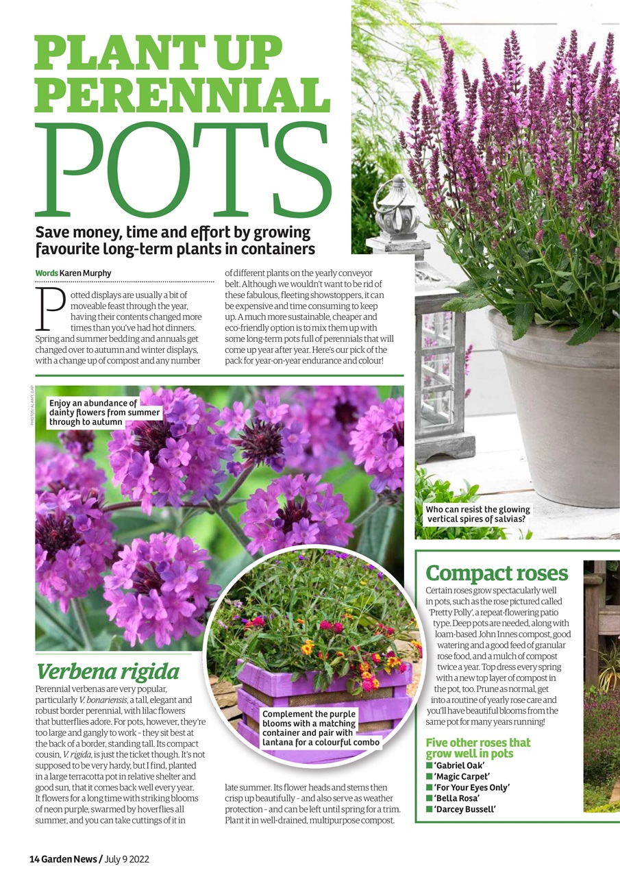 Garden News Preview Pages