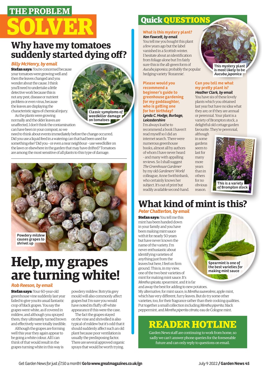 Garden News Preview Pages