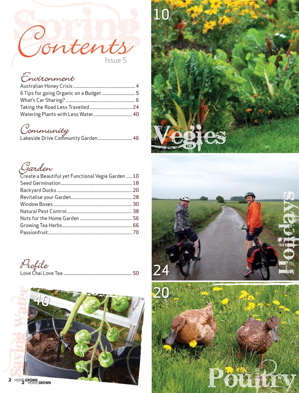 HomeGrown Preview Pages