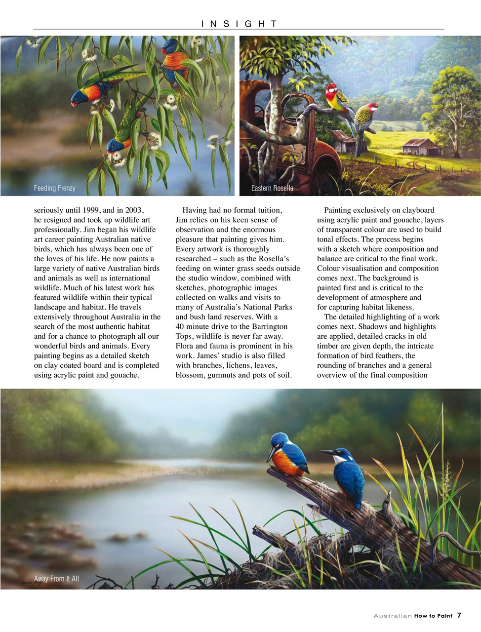 Australian How to Paint Preview Pages