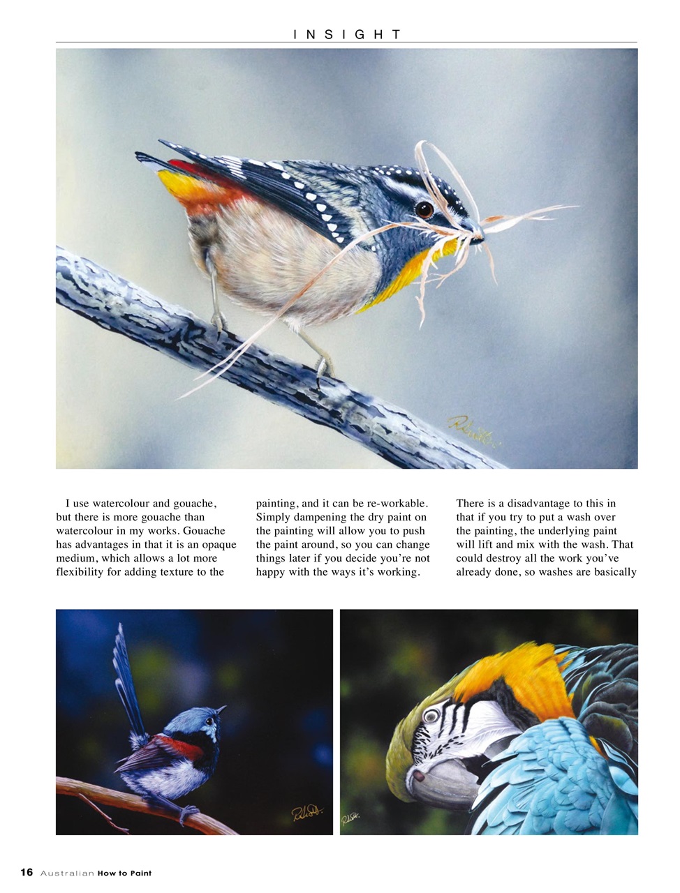 Australian How to Paint Preview Pages