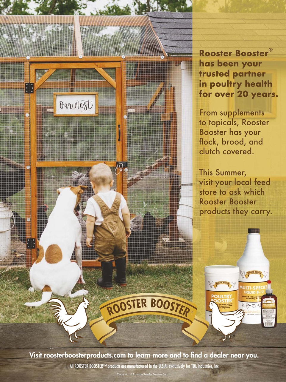 Chickens Magazine Preview Pages