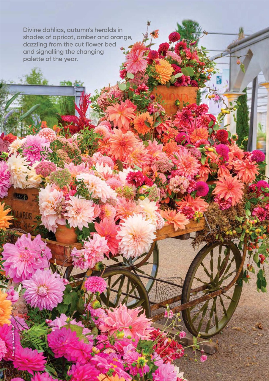 The Flower Arranger Preview Pages