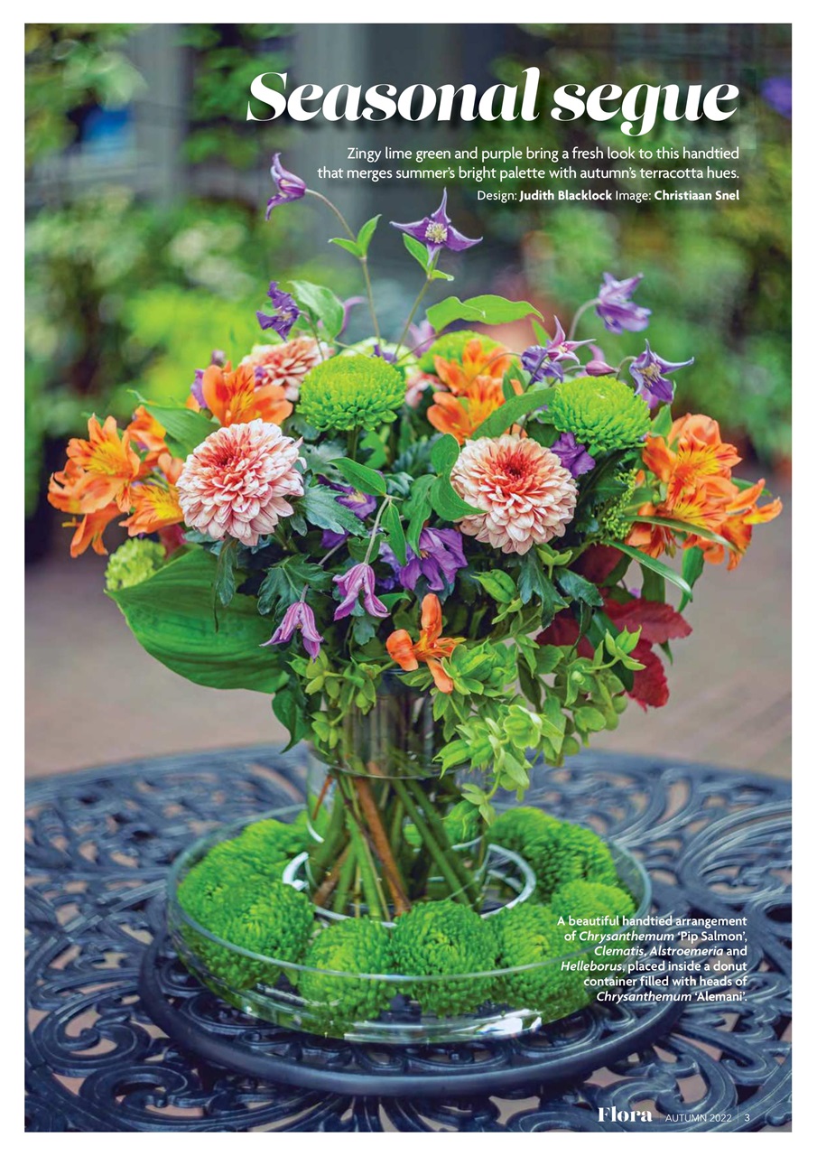 Flora International Preview Pages