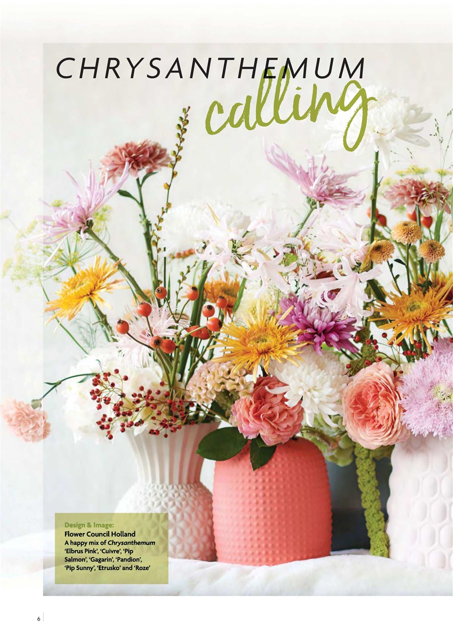 Flora International Preview Pages
