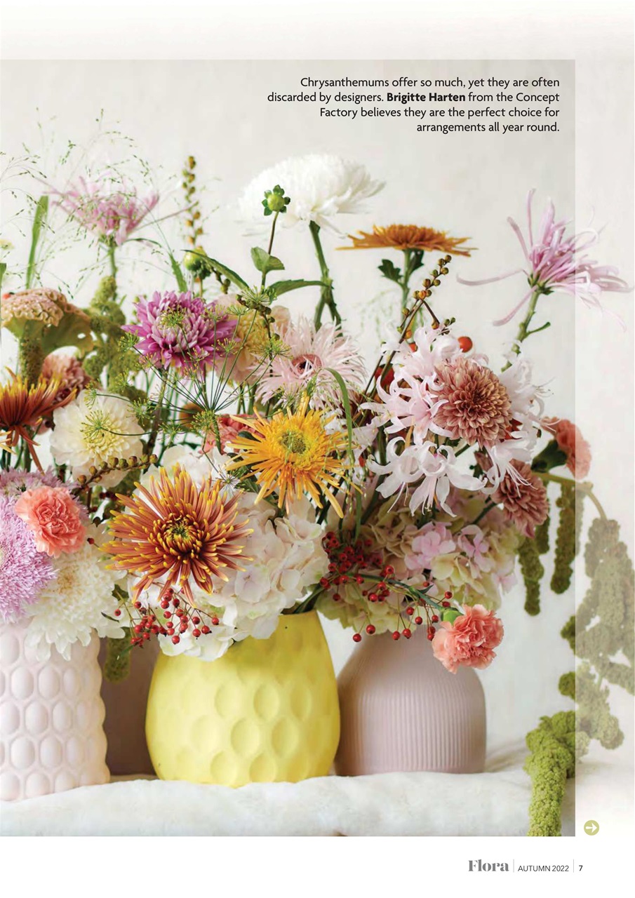 Flora International Preview Pages
