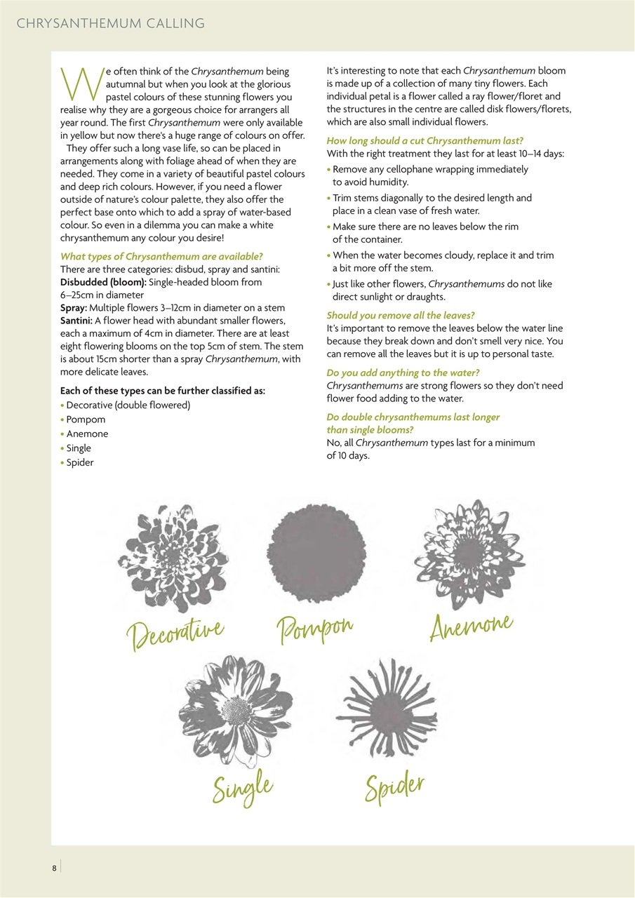 Flora International Preview Pages