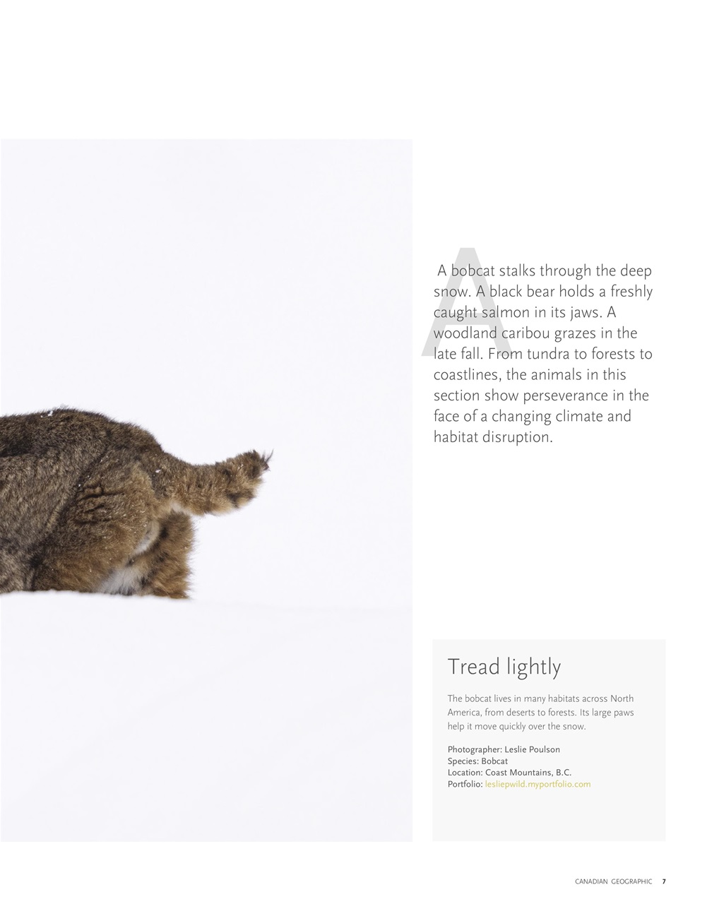 Canadian Geographic Preview Pages