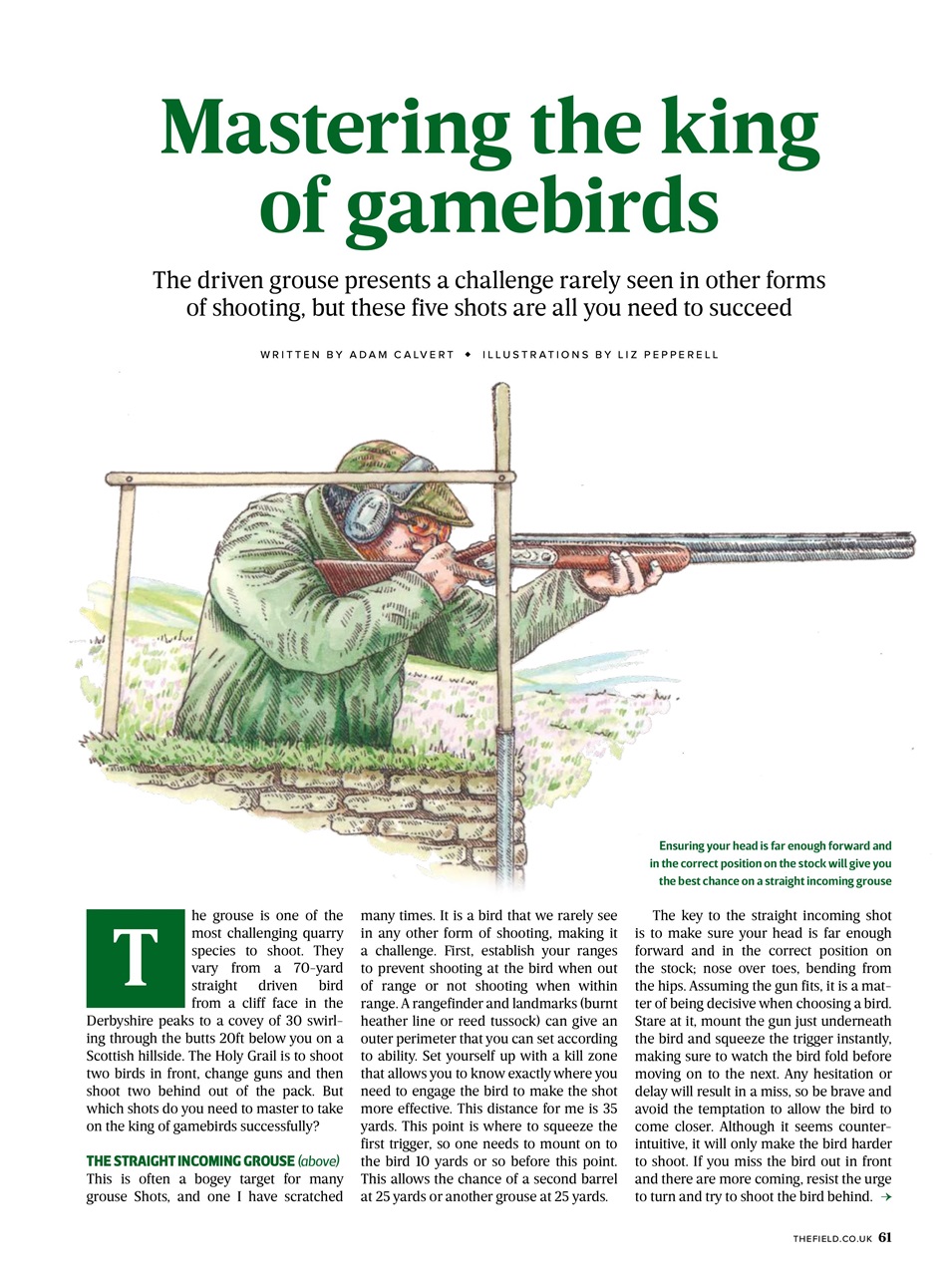 The Field Preview Pages